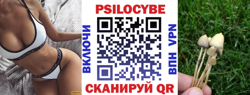 Галлюциногенные грибы Psilocybe  Подольск 